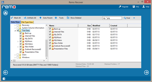 Picture Recovery Software - Data Type View